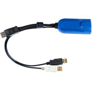 Raritan USB/DVI Video/Data Transfer Cable - DVI/USB KVM Cable for KVM Switch, Mouse, Monitor - First End: 2 x USB Type A - Male, 1 x DVI-D Digital Video - Male - Black